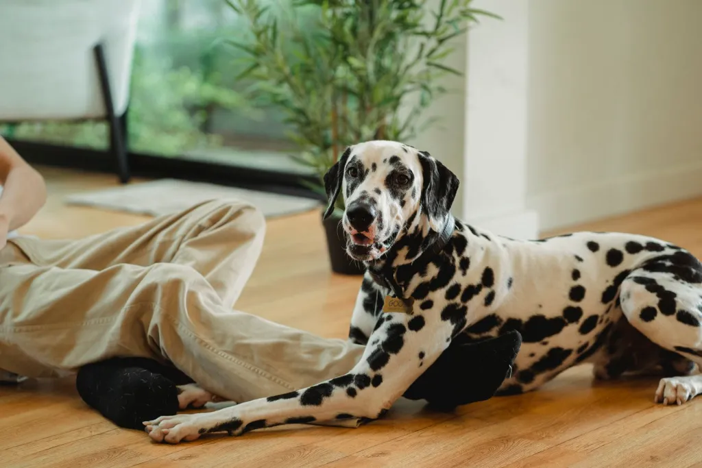 Thoughtful Care at Home
